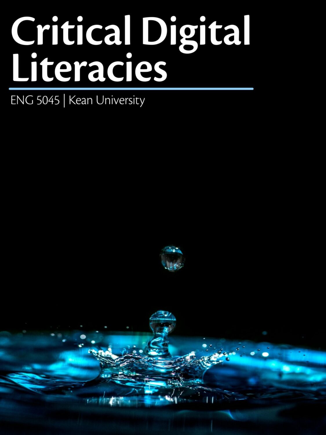 Cover image for Critical Digital Literacies